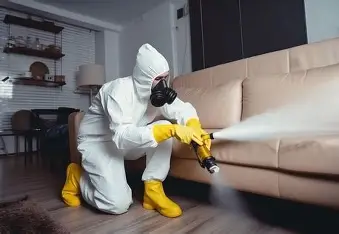 مكافحة حشرات