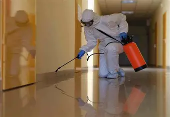 مكافحة حشرات